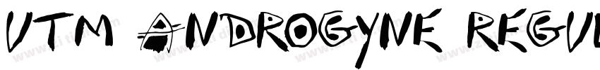 UTM Androgyne Regula字体转换